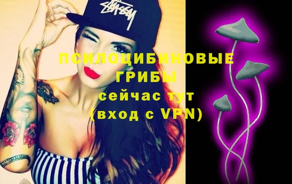 молекула духа Алзамай
