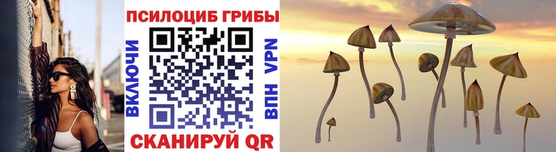 Псилоцибиновые грибы Magic Shrooms  Грязи 